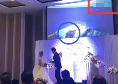 王鐘瑤的五分三十七秒是怎么回事？王鐘瑤婚禮-1