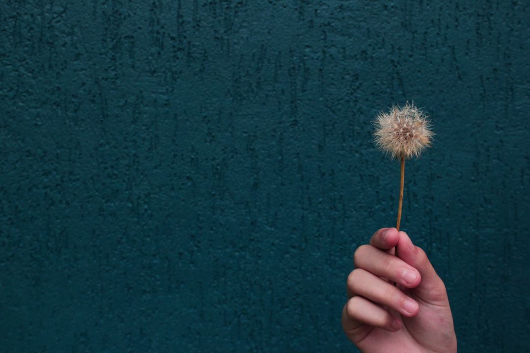 國企員工福利有哪些? 國企員工福利有哪些?