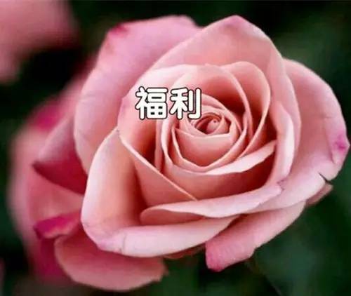 員工生日福利多.jpg
