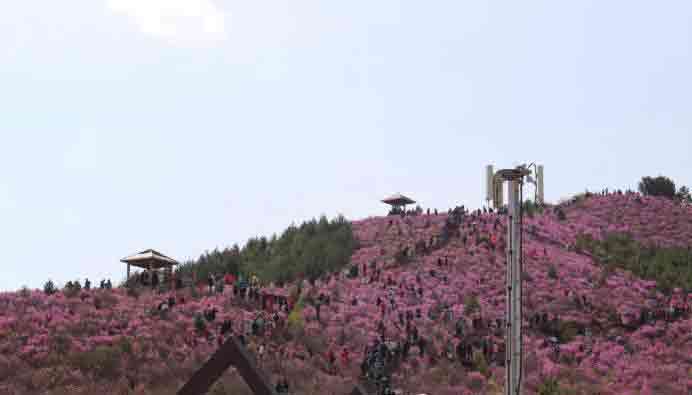 富錦焌龍房地產經紀有限公司五一公司福利之樺南之旅.jpg